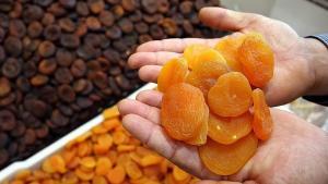 Alperces secos de Malatya continuam a deliciar o mundo