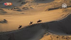 په سعودي عربستان كې ۸۵ زره كلن كشف