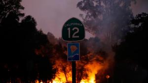 شمار قربانیان آتش سوزی در کالیفرنیا به 40 نفر رسید