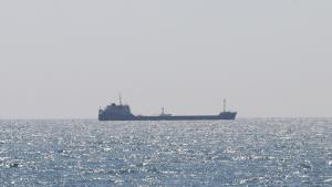 Украинадан эгин жүктөлгөн дагы бир кеме жөнөп кетти