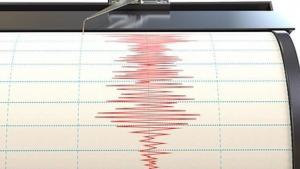 Terremoto di magnitudo 8,1 in Nuova Zelanda, allerta tsunami