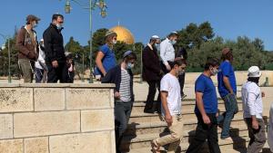 Incursion des juifs ultra-orthodoxes à la mosquée al-Aqsa