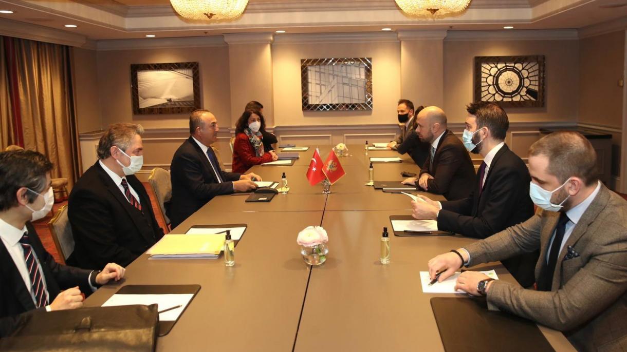 Dışişleri Bakanı Mevlüt Çavuşoğlu Karadağ Dışişleri Bakanı Djordje Raduloviç Görüşme.jpg