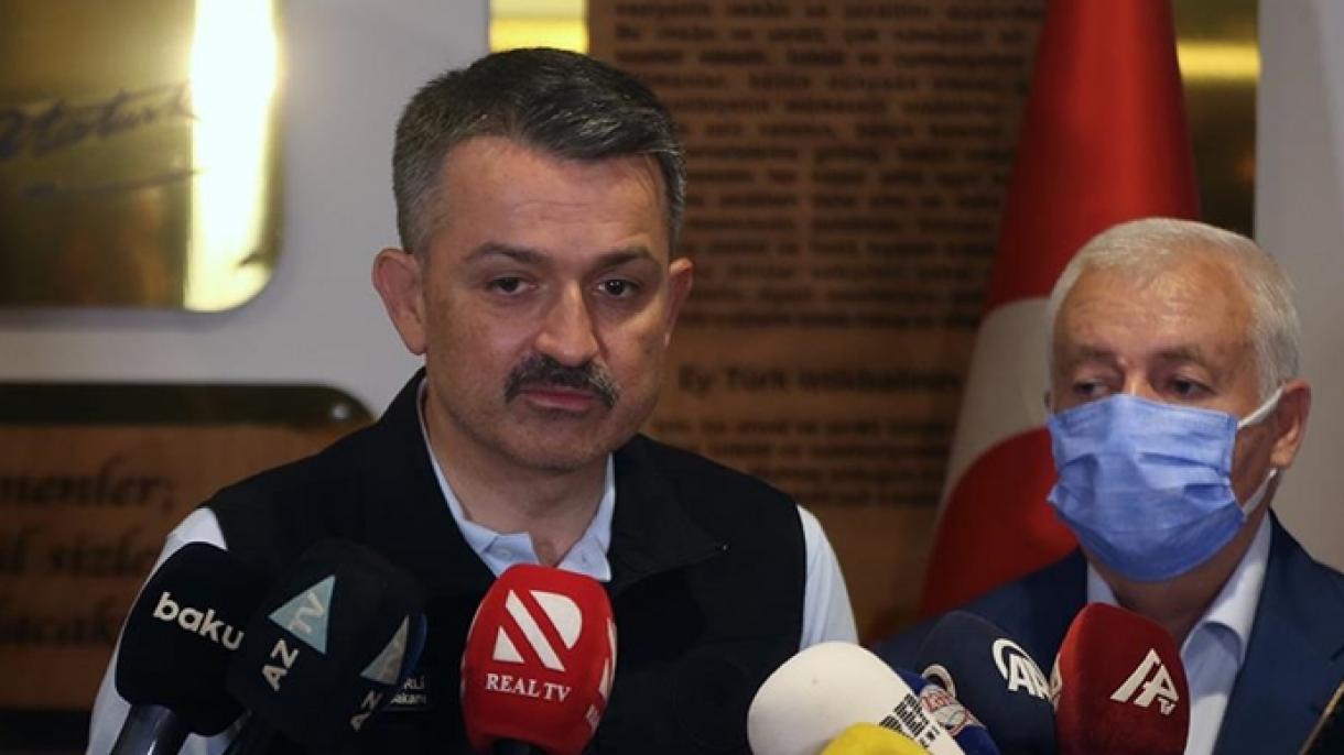 Turkiyada 275 oʻrmon yongʻinidan 272 tasi nazorat ostiga olindi