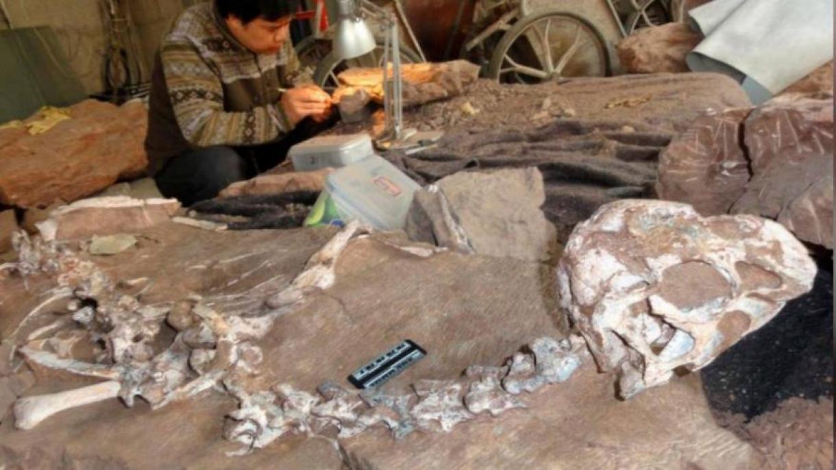 Argentinada 110 million yil avvalgiga oid dinozavr qoldiqlari topildi