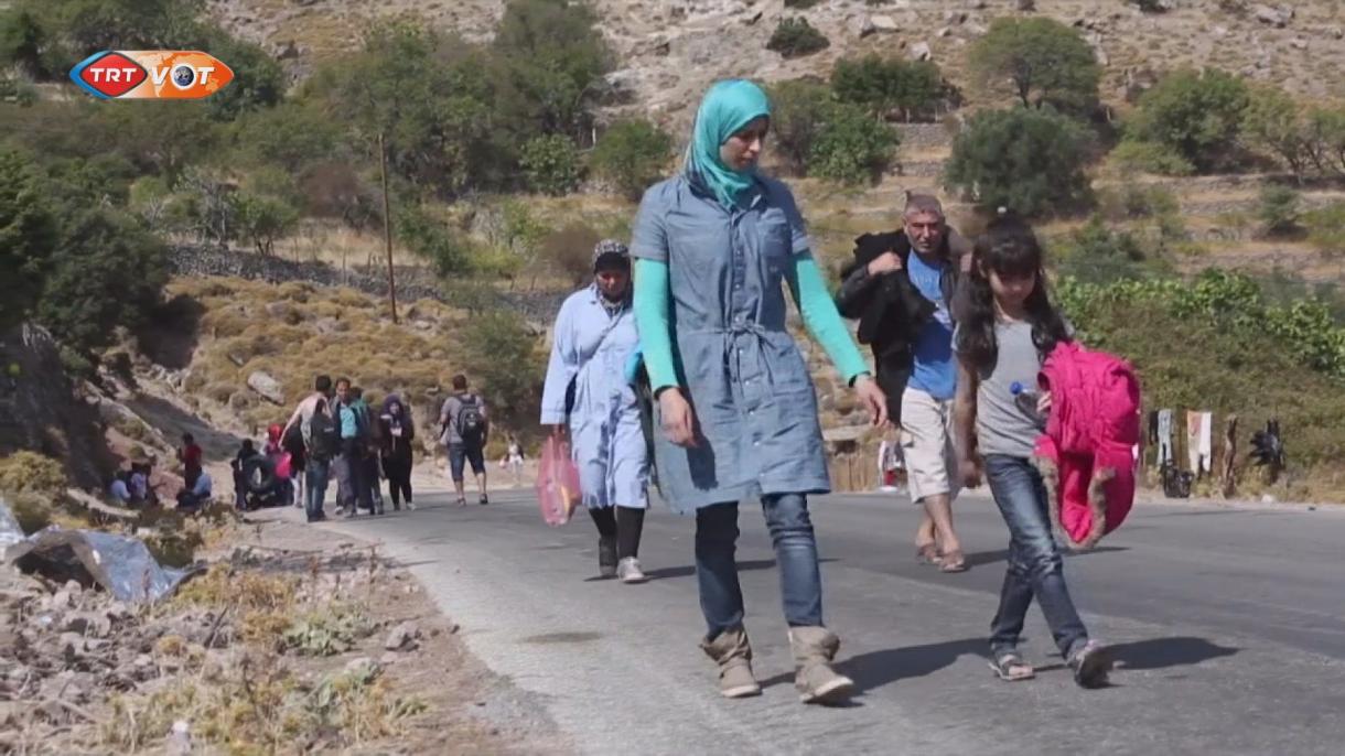 Raport UNICEF de sinteză privind migrația