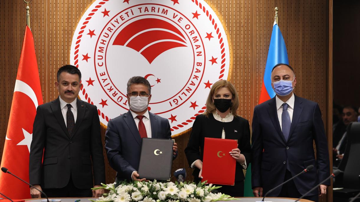 Türkiyə və Azərbaycanın qida təhlükəsizliyi sahəsində əməkdaşlıq imkanları müzakirə olunub