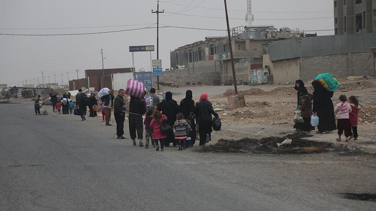因摩苏尔行动 近8万伊拉克人背井离乡