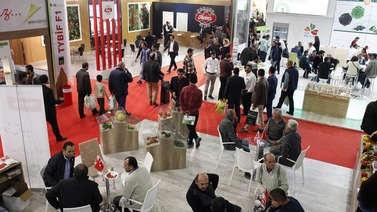 Antaliyada awıl xucalığı yärminkäse uza