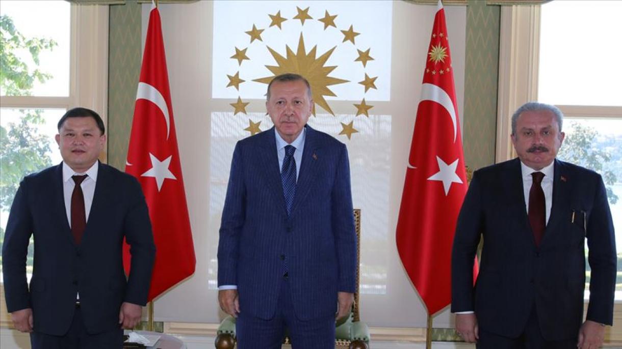 اردوغان رئیس مجلس قرقیزستان را به حضور پذیرفت