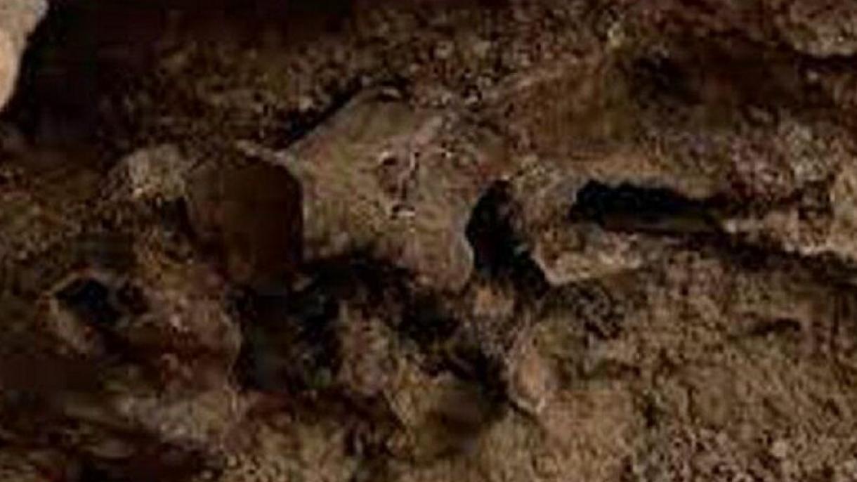 Hallan fósil de caballo de la Edad de Hielo en EEUU