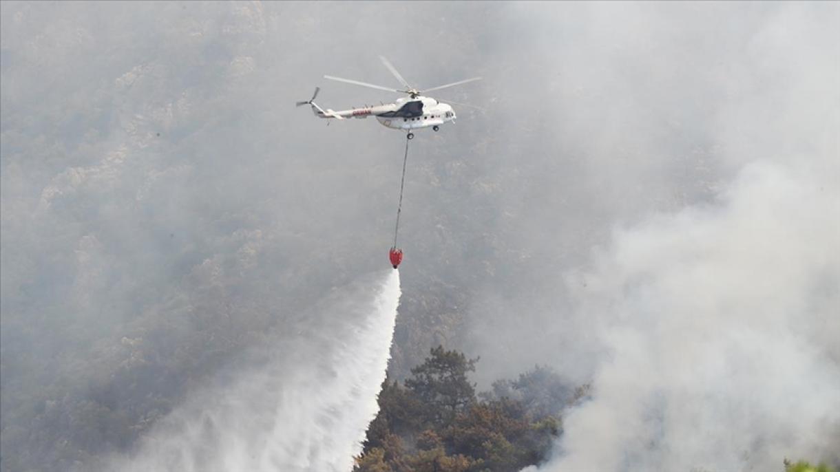 ترکی، جنگلات کی آگ کو بجھانے کا عمل دسویں روز بھی جاری