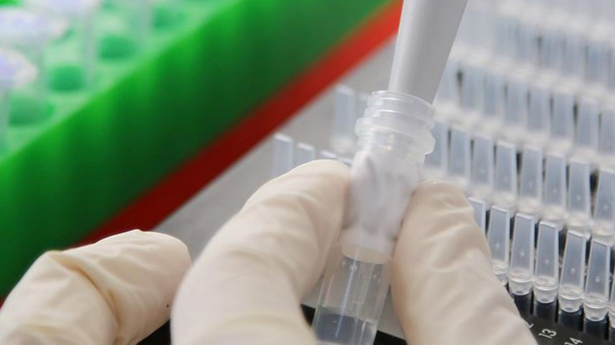 世卫组织称美国尚未提供新冠病毒来源的证据
