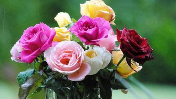 Obsequian rosas en vuelos de China Southern Airlines