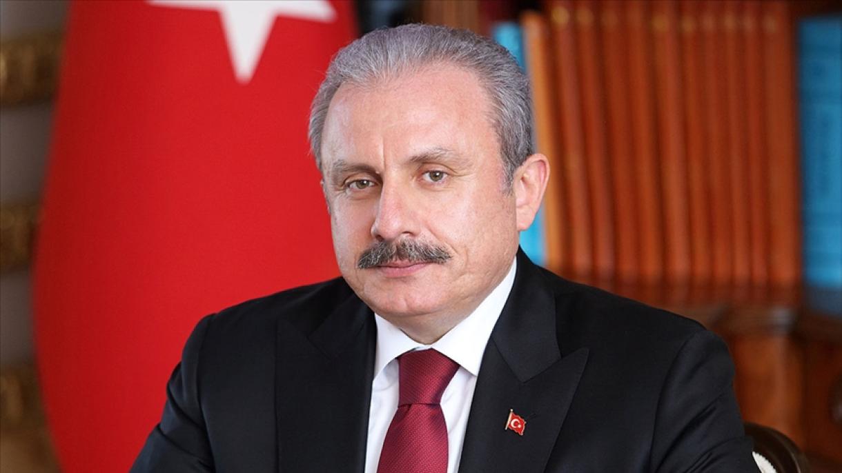 دیدار رئیس مجلس ترکیه با رئیس سازمان ترک‌های خارج از کشور و نمایندگان نهادهای ترک