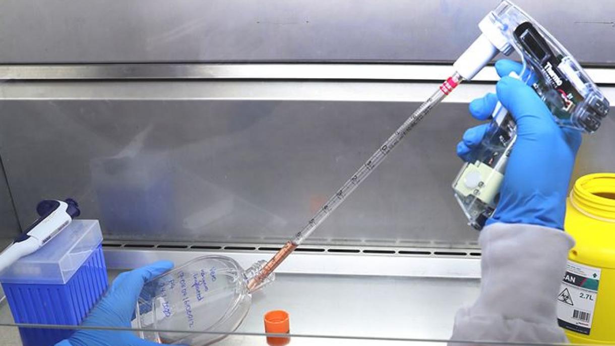 Hytaýda koronawirus epidemiýasynda ýogalan adamlaryň sany 213-e ýetdi