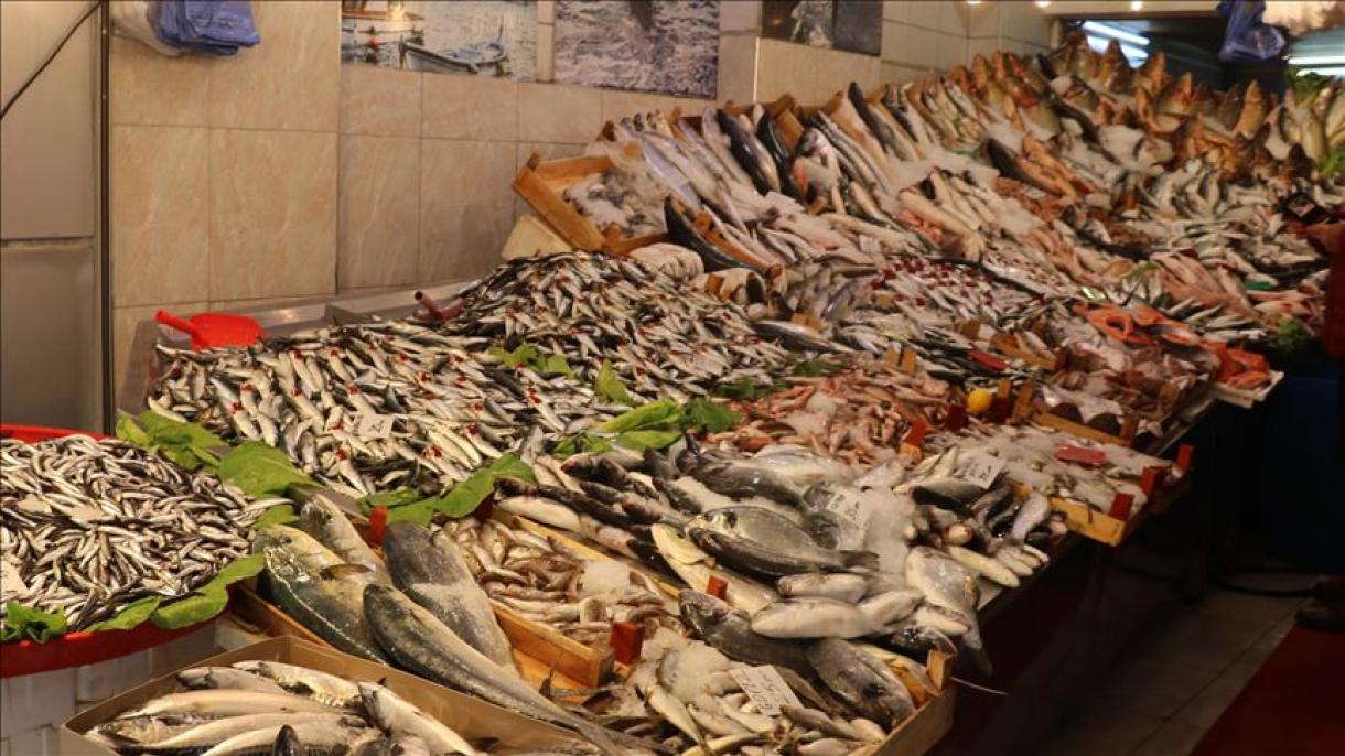 رتبه نخست ترکیه در تولید ماهی قزل‌آلا در اروپا