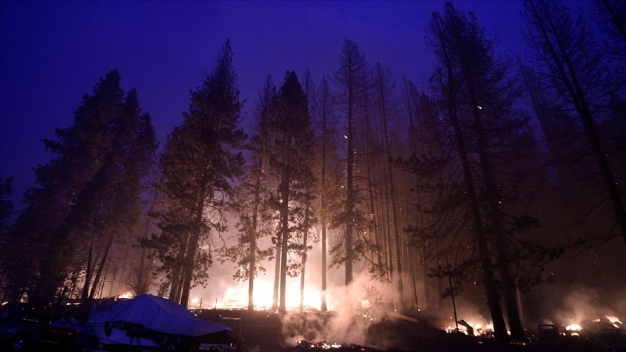 آتش سوزی‌های جنگلی در بسیاری از مناطق آمریکا ادامه دارد