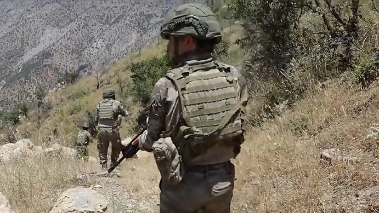 İraq və Suriyanın şimalında 5 PKK-lı zərərsizləşdirildi