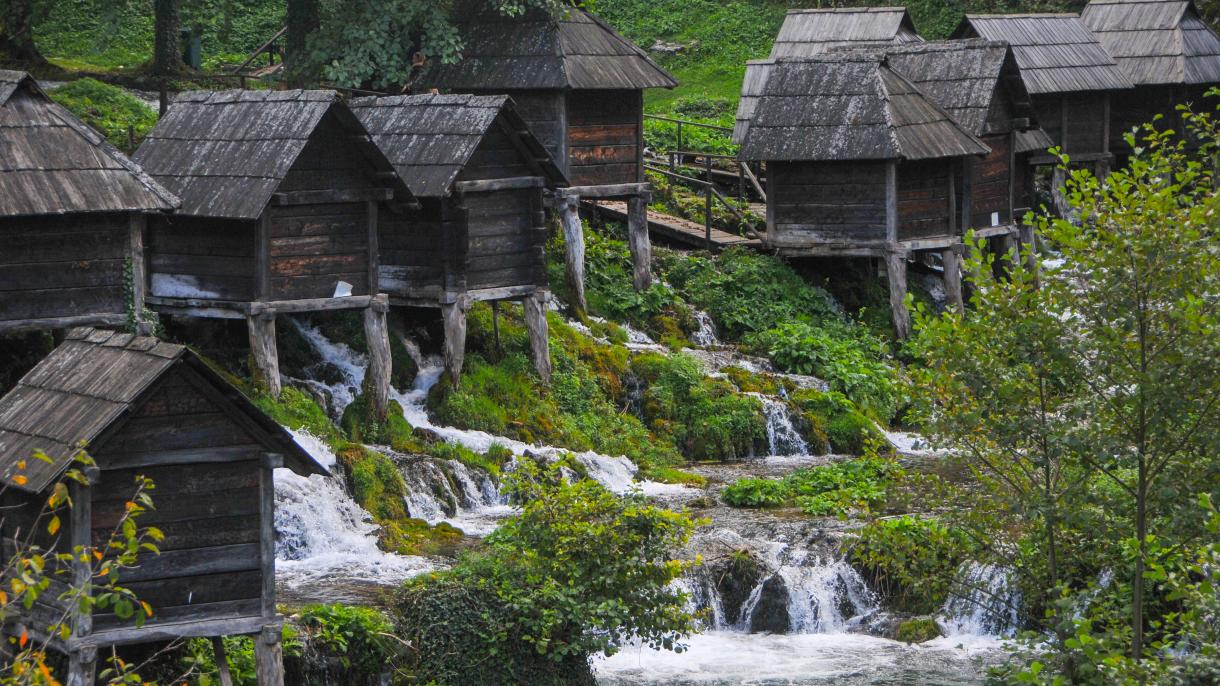 jajce8