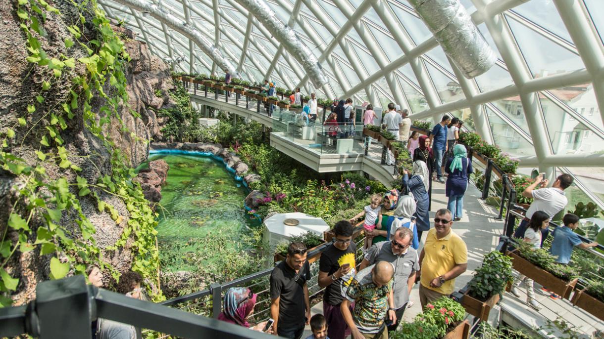 O jardim Tropical de borboletas de Konya, é o maior da Europa