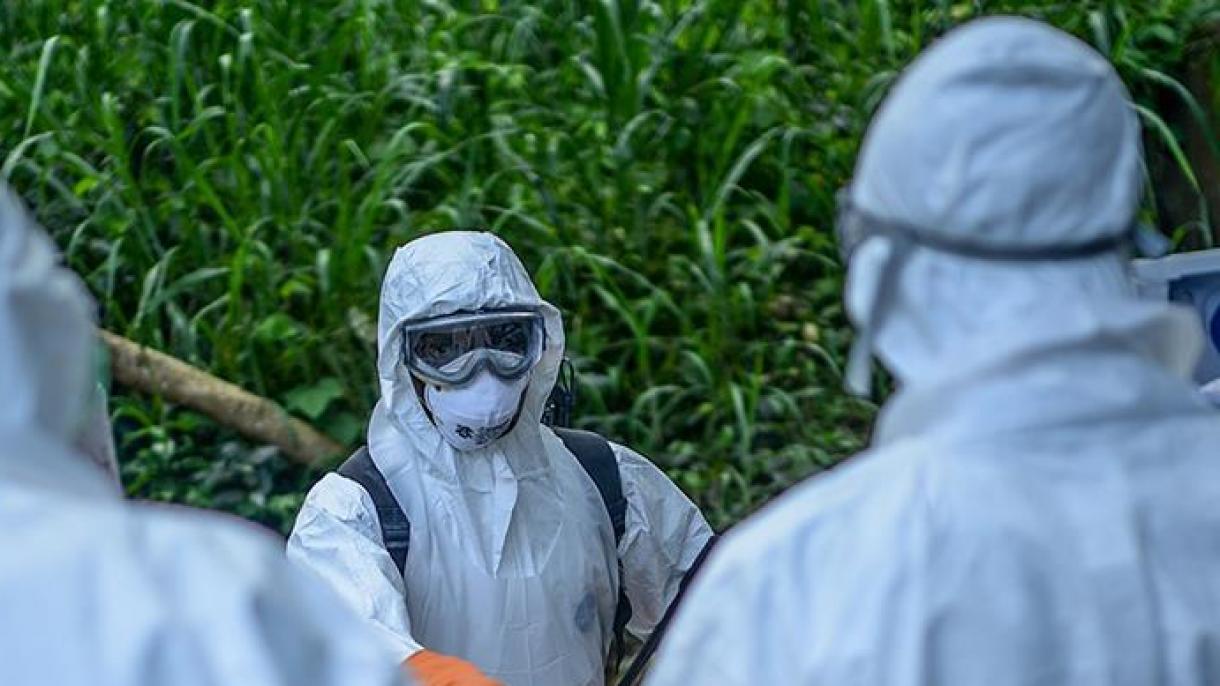 在几内亚埃博拉病毒新病例