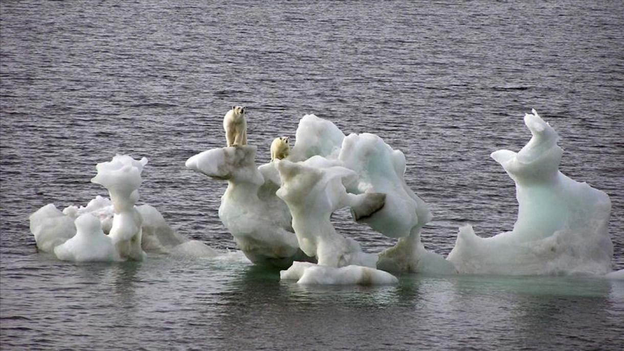 2050-re nyaranta elolvadhat a jég az Északi-Jeges-tengeren