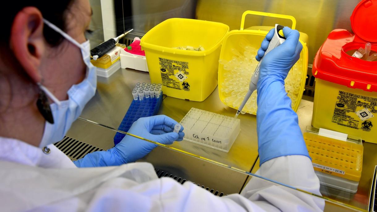 En Japón celebran éxito de experimento contra el COVID-19