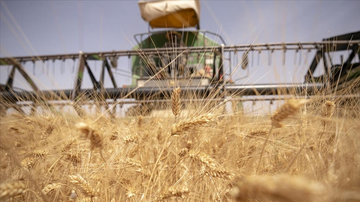 Tavaly 14,7 %-kal nőtt az élelmiszerek átlagos ára