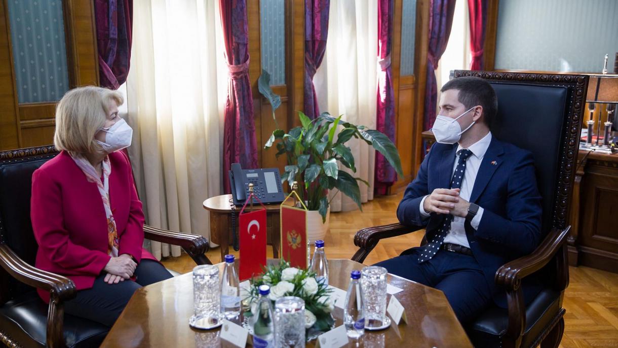 aleksa becic sungul ozan karadag 1.jpg