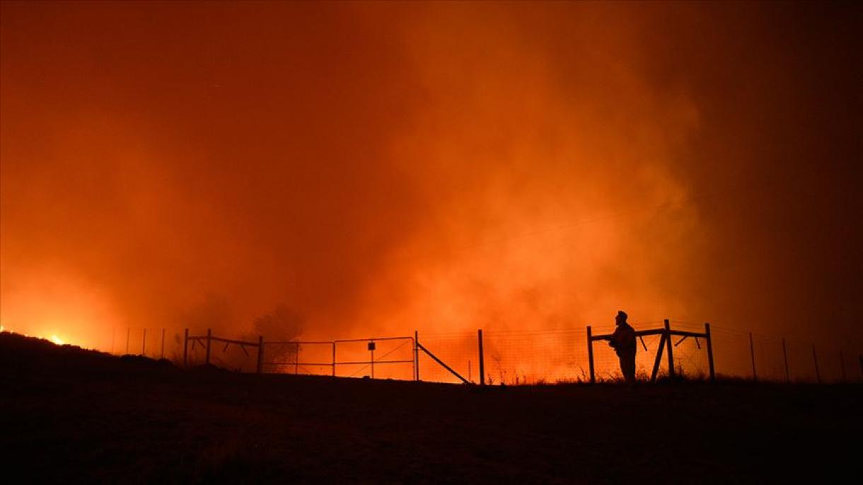 美国加州因森林火灾宣布进入紧急状态