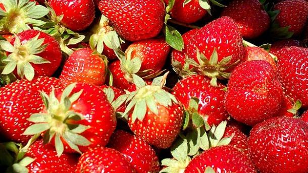 Τρίτη στην παραγωγή φράουλας η Τουρκία