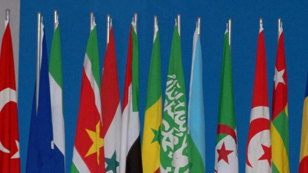 阿拉伯议会对成立伊斯兰反恐联盟发表声明