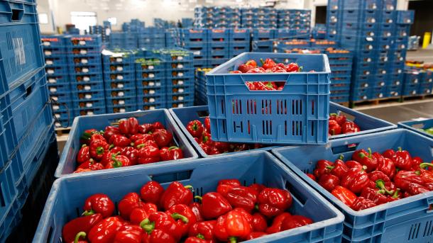 Le marché agro-alimentaire latino-américain sollicité par Moscou
