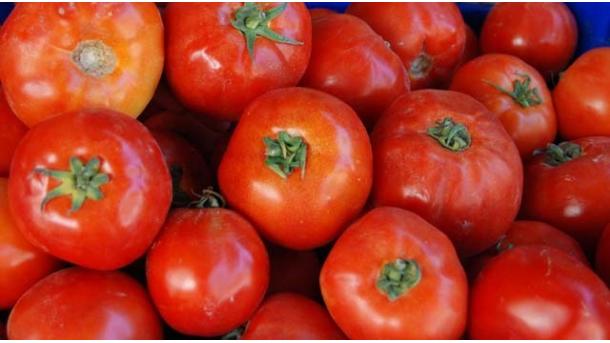España: la Tomatina ofrece su cara más solidaria este año