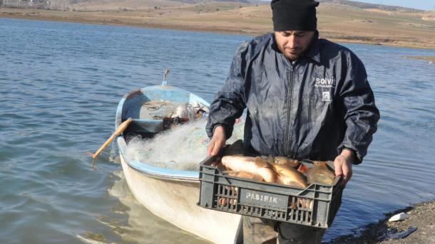 صادرات ماهی از ترکیه به اروپا