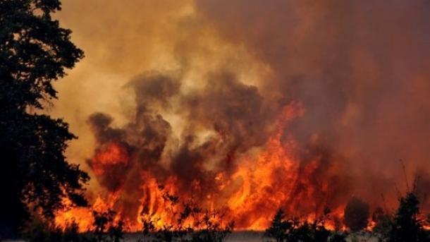美国消防队员奋力扑救森林火灾