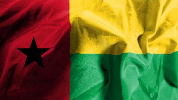 几内亚10月将举行总统选举