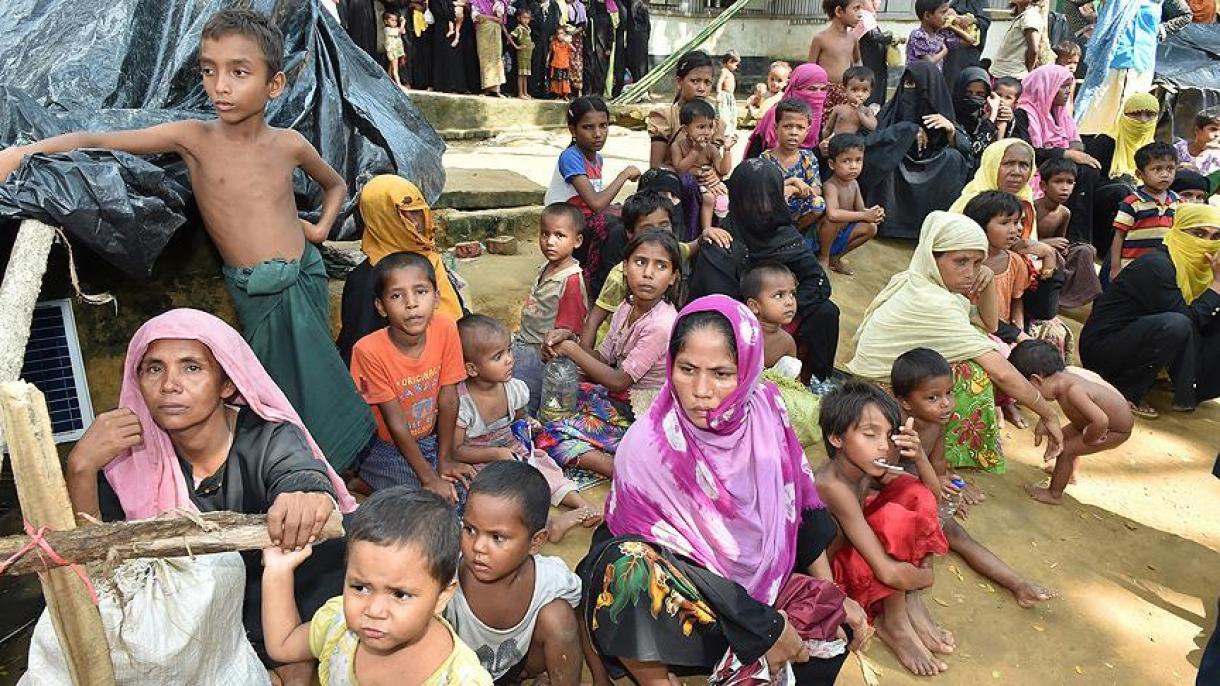 Бангладешке барған аракандықтар саны 519 мыңға жетті