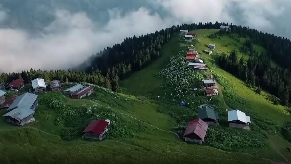 კუთხე-კუნჭული“ 24/2021