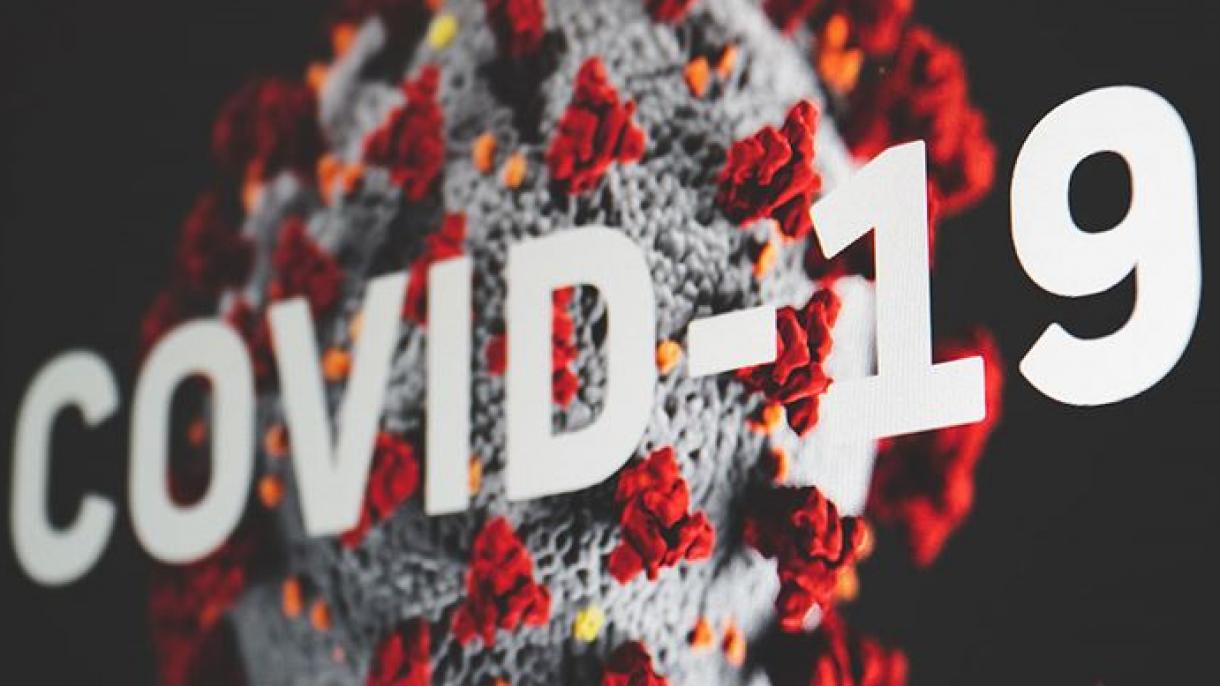 Une année avec la Covid-19