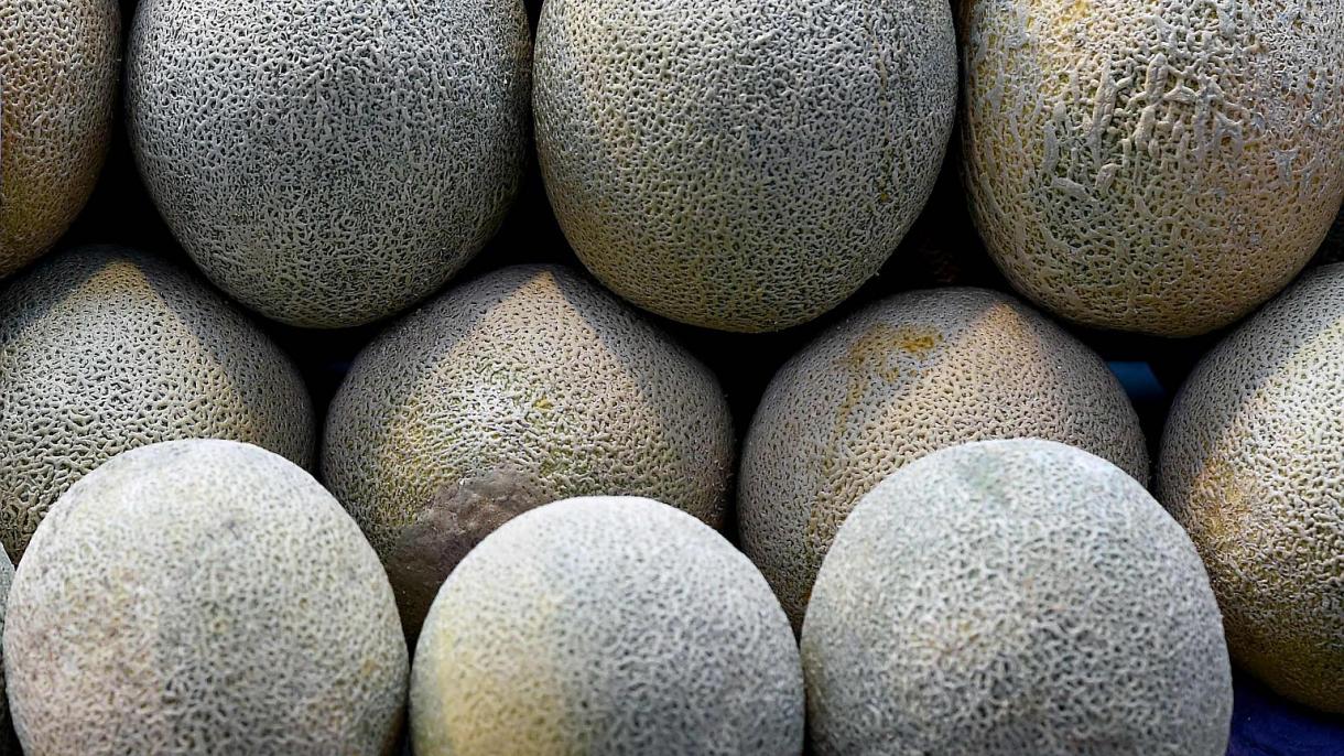 Wabak Listeria di Australia