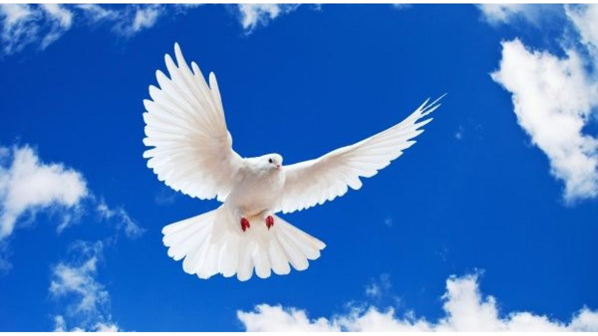 Hoje é o Dia Mundial da Paz