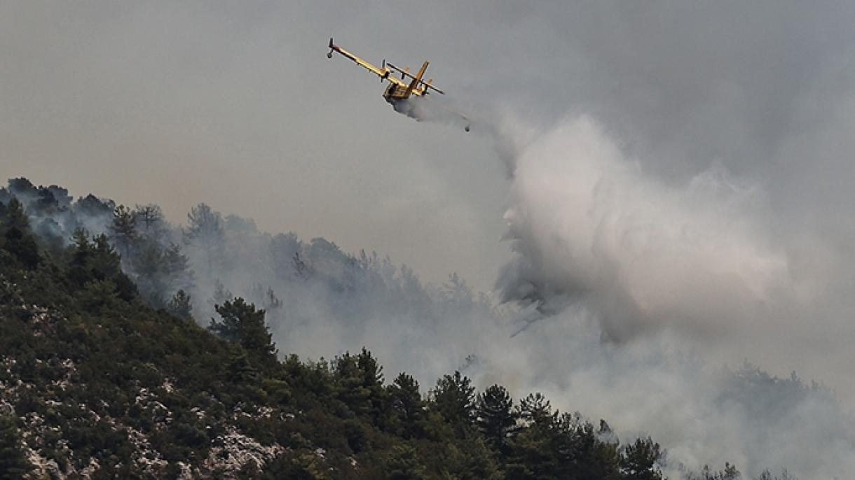 Ministrul Pakdemirli a anunțat că incendiile majore au fot stinse