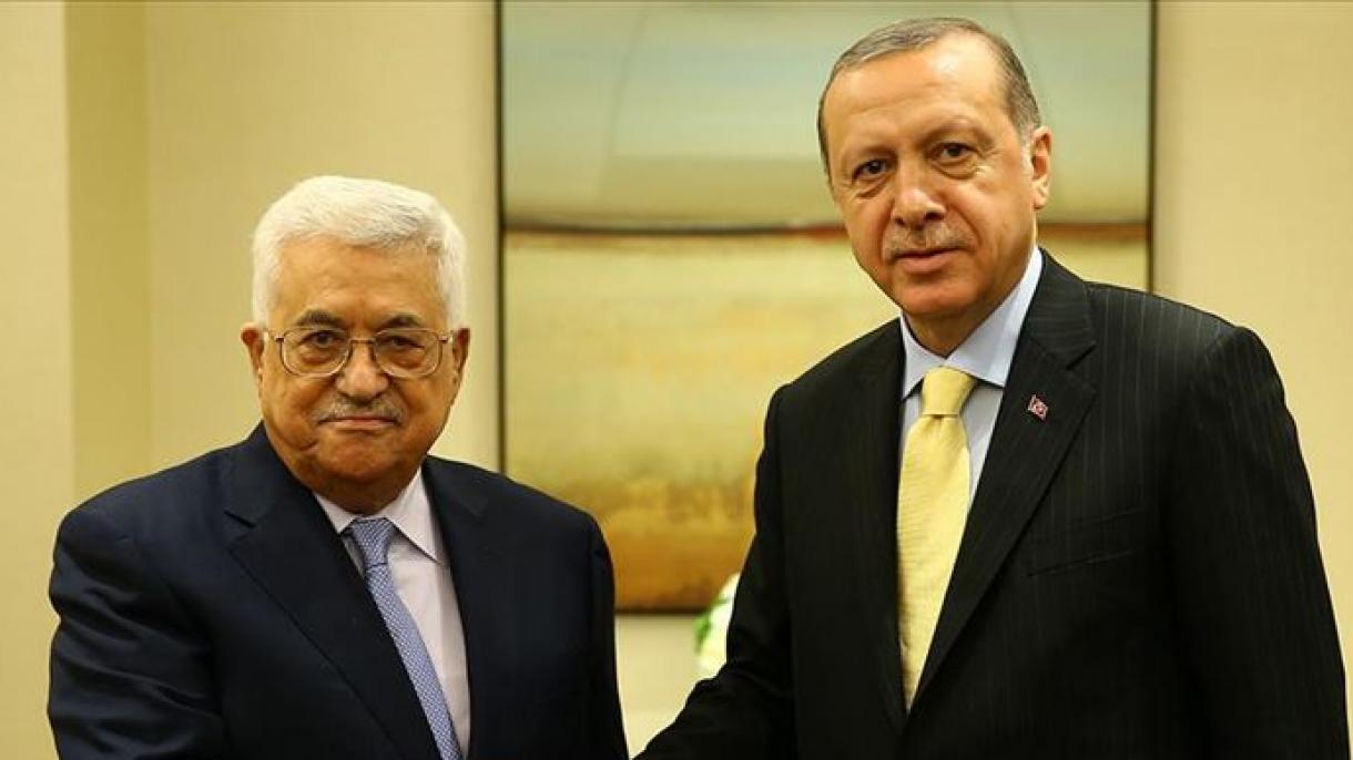 埃尔多安与巴勒斯坦总统阿巴斯举行电话会晤