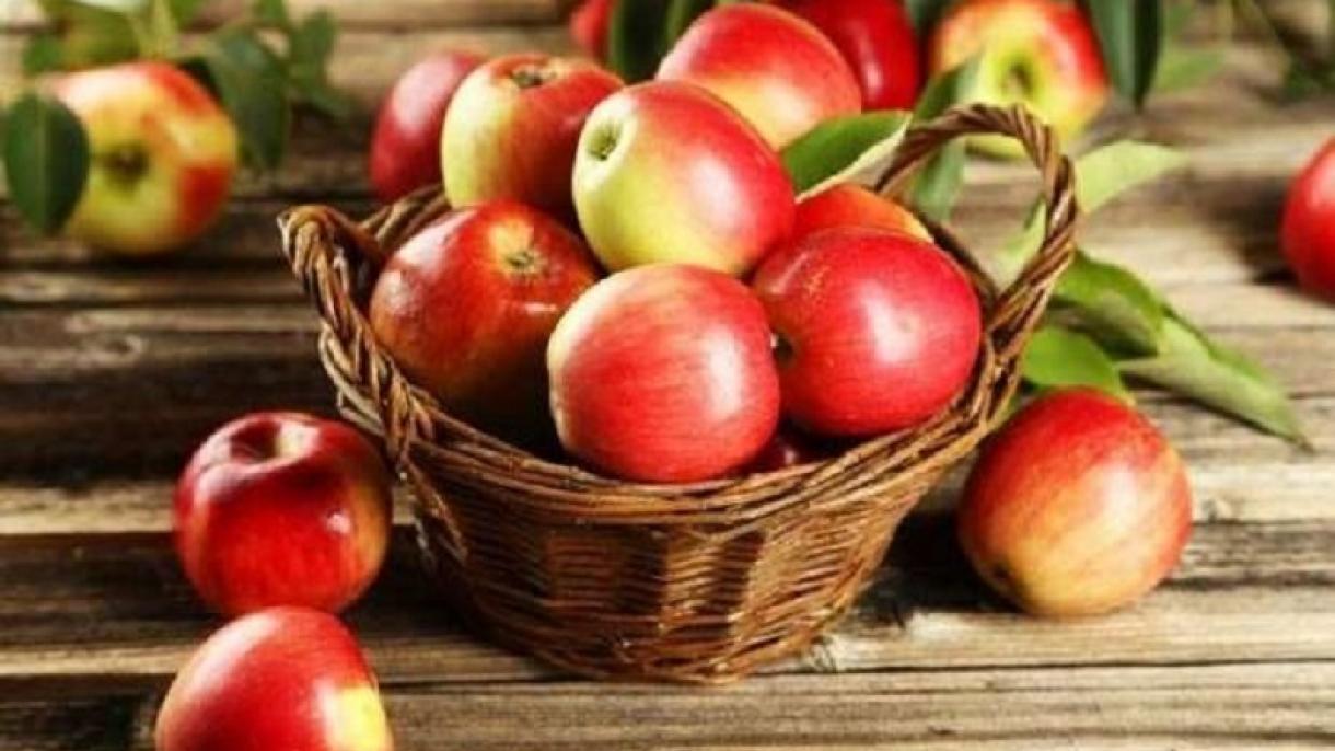 ہلدی، سرخ انگور اور سیب کھائیے،پروسٹیٹ کینسر سے نجات پائیے