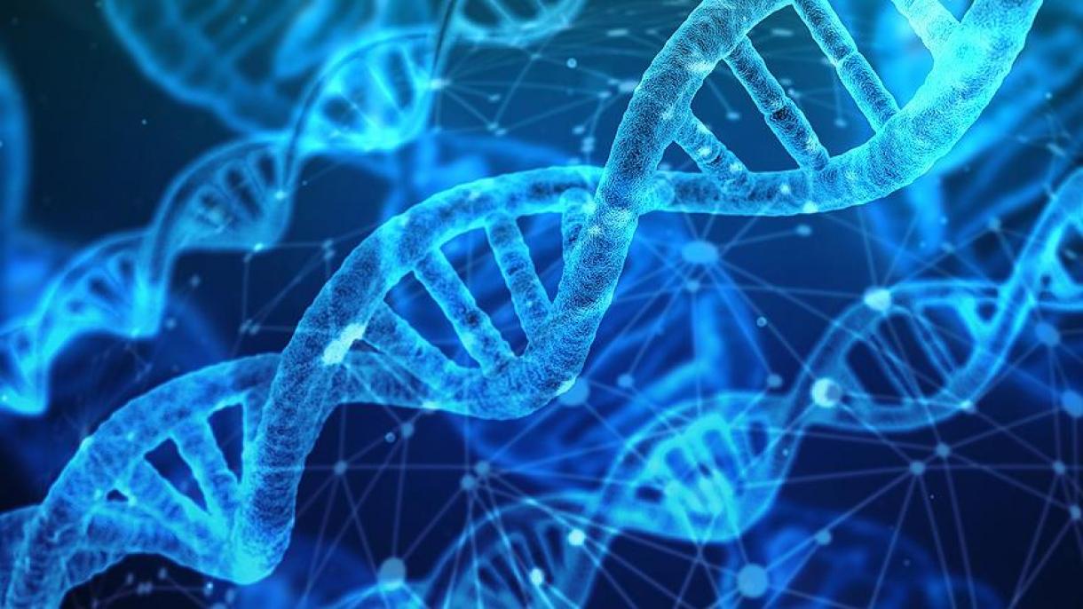 دیانایلر، نه قدر یاشایاجاغیمیزدان خبر وئریر