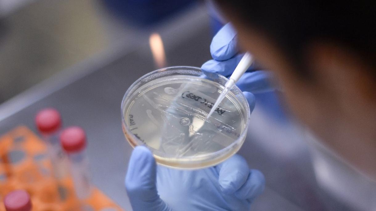A Turquia agiu mais rápido que a Europa na luta contra a pandemia de COVID-19