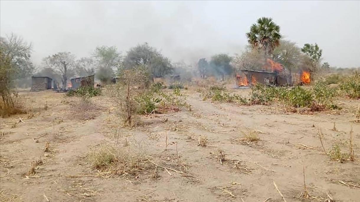 尼日利亚安全力量击毙40名恐怖分子