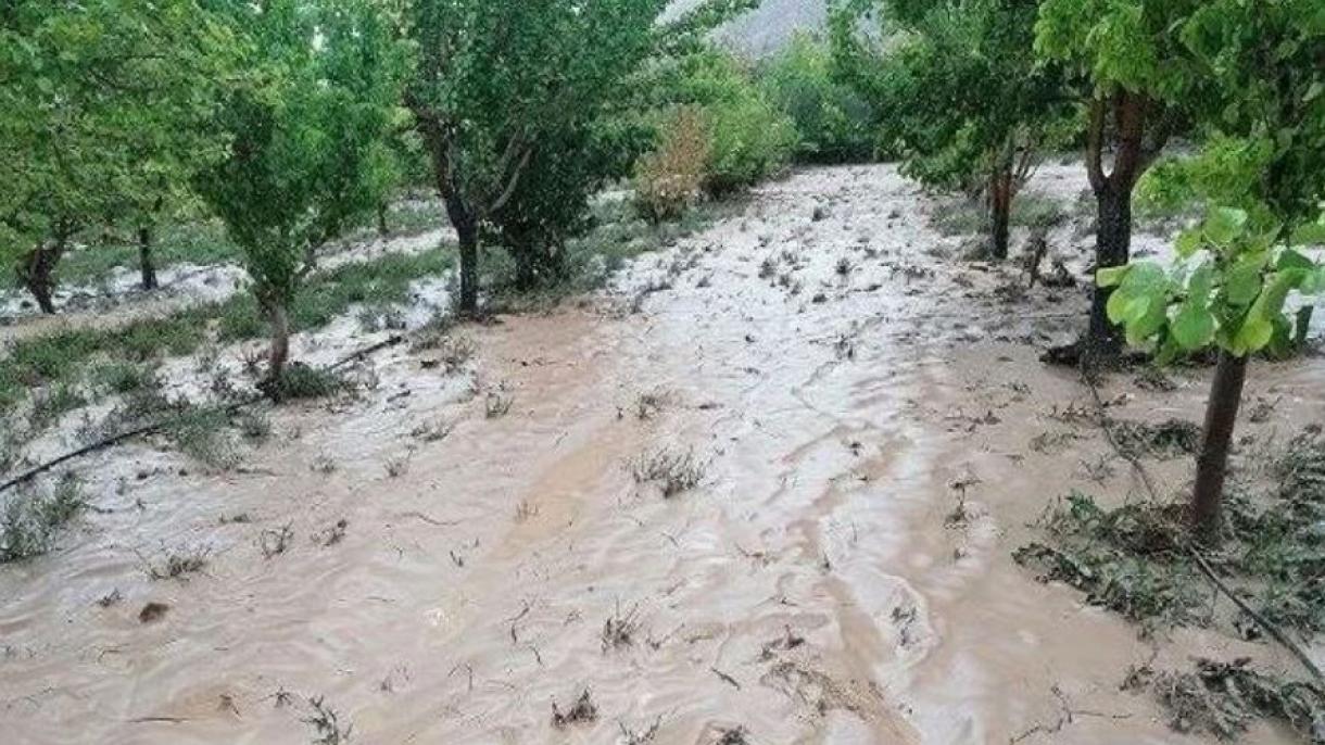 خسارت سیل به 80 روستا در استان اردبیل